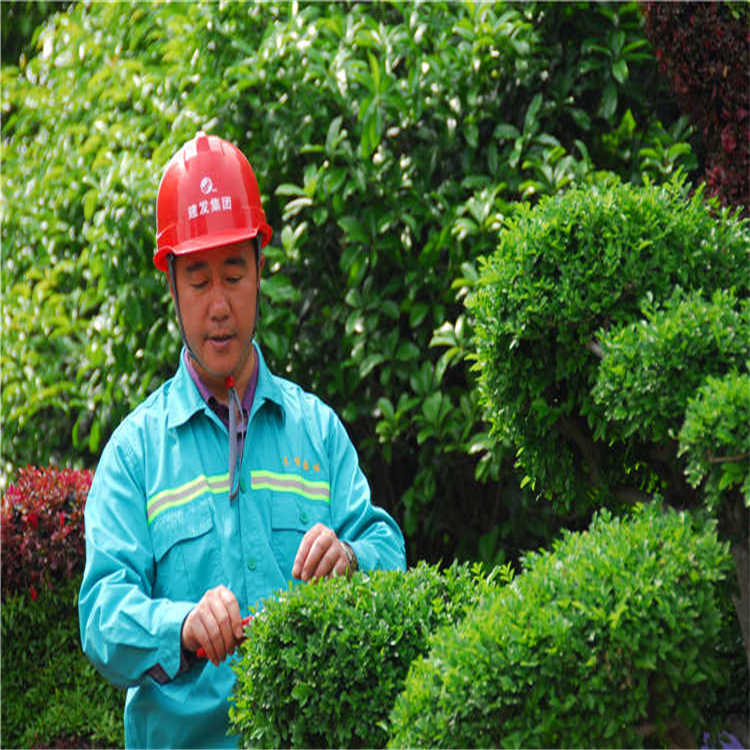 綠(lv)化(hua)養(yang)護(hu) 6