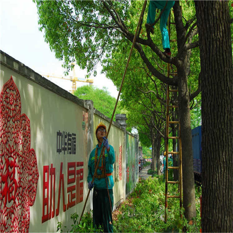 綠化(hua)養(yang)護(hu) 4