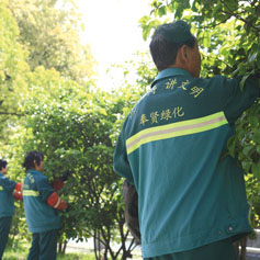 綠(lv)化(hua)養護(hu) 3