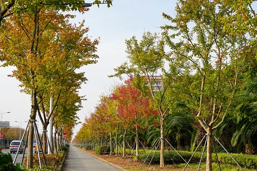 DSC06240.jpg DSC06240.jpg