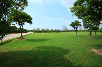 58ae6e762a687.jpg ywfw2_3.jpg