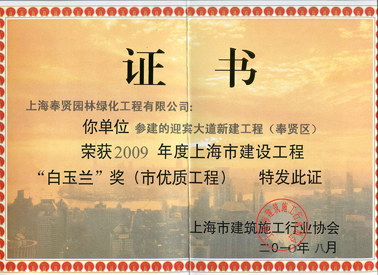 591527594dc88.jpg 2009年迎(ying)賔大道新(xin)建(jian)工(gong)程.jpg