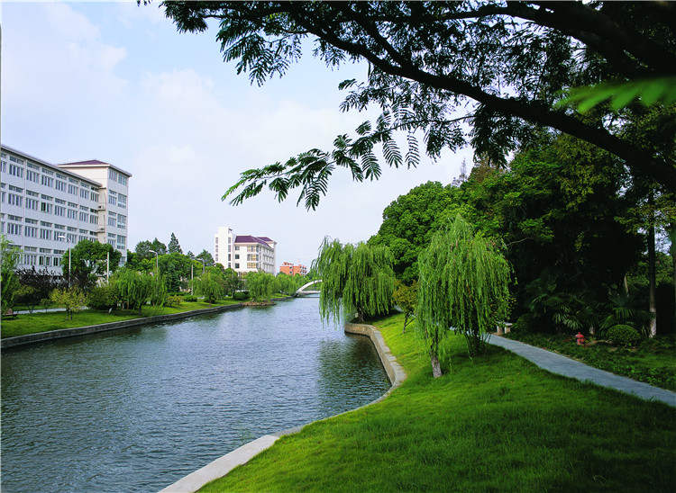 5915514be06a0.jpg 11.jpg