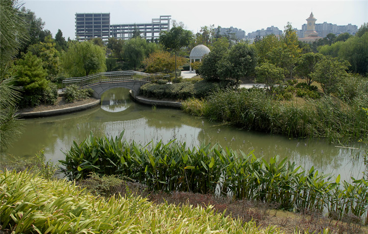 5915517911ad0.jpg 13.jpg