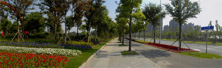 591554fe332c0.jpg 年豐(feng)路(lu)3.jpg