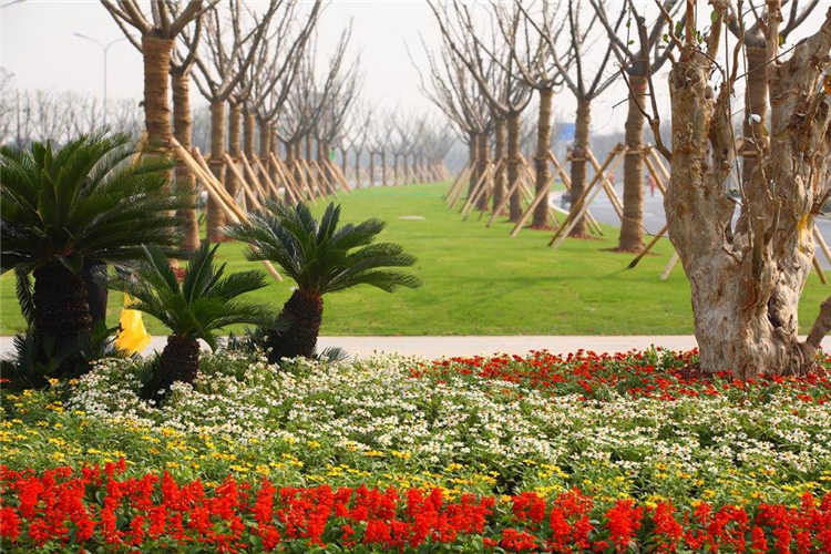 迎賔大(da)道(dao)001 (1).jpg