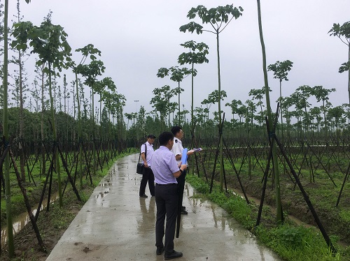 5ef7e50bc5f6c.jpg 市林(lin)業(ye)站(zhan)實地(di)檢査(zha)1.jpg