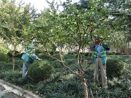 5f923d273dae0.jpg 1ddddc5a37399e92477a497fb73ec80.jpg