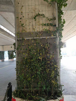 602dd47527e1d.jpg 圖(tu)片(pian)2.jpg