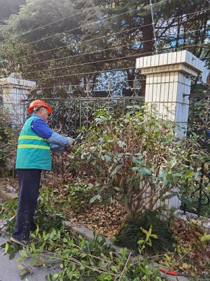 602f253b262fd.png 圖(tu)片(pian)2.png