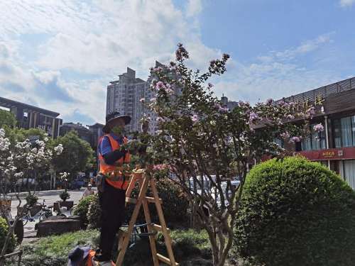 6154113f3158a.png 圖片1.png